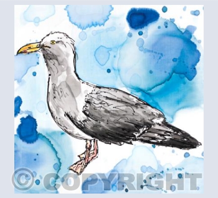 Mr Seagull