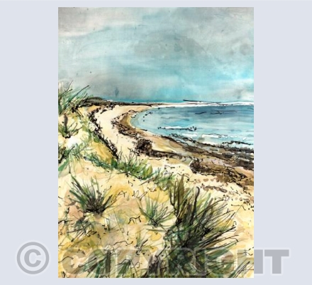 Knoll Beach