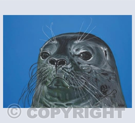 Seal