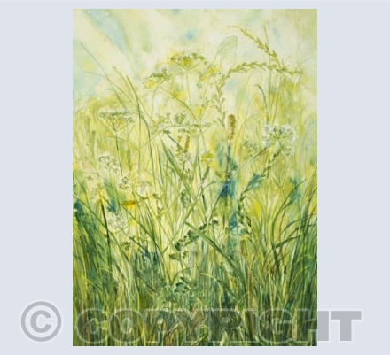 Summer meadow
