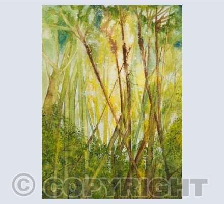 Towards the treetops