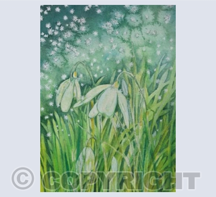 The day it really snowed! 