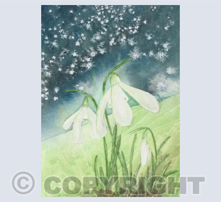 Harbinger of Spring