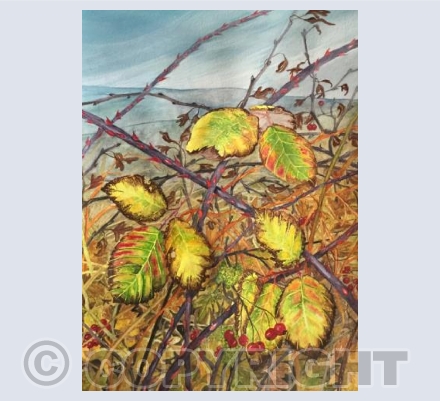Glorious bramble 