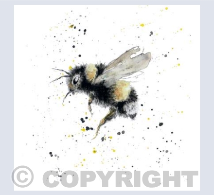 Bumble Bee Card