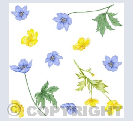 Blue Flowers