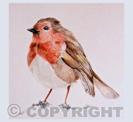 Robin Card
