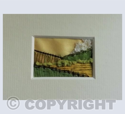 Fields I