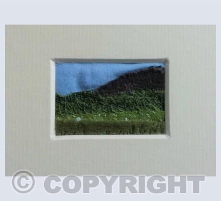 Fields II