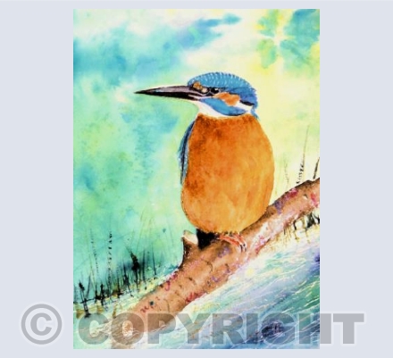 Kingfisher in the Green