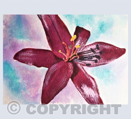 Dark Lily