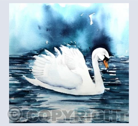 Dark Swan