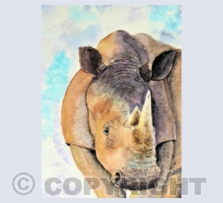 Wrinkly Rhino