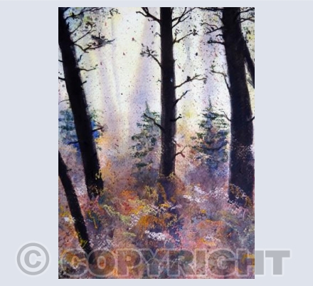 Backlit Wood