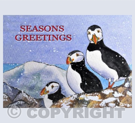 Snow Puffins