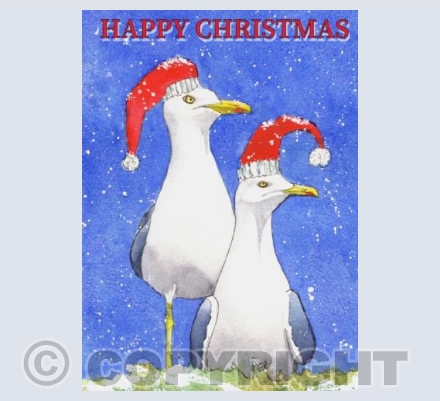 Snow Gulls