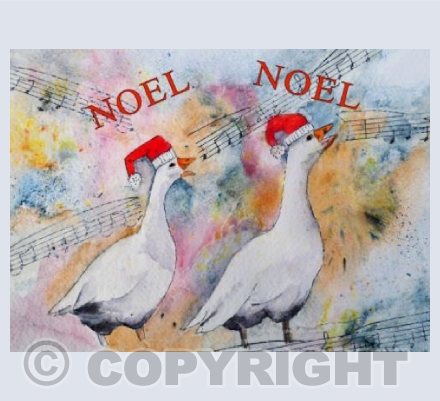 Noel Noel