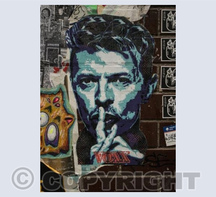 Blue Bowie Hush