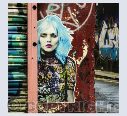 Blue Blondie square
