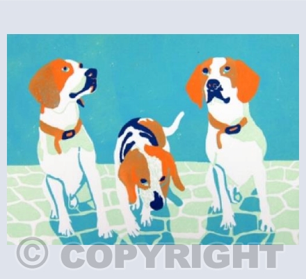 Happy Dogs