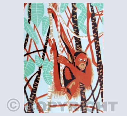 Orang Utan in  Borneo