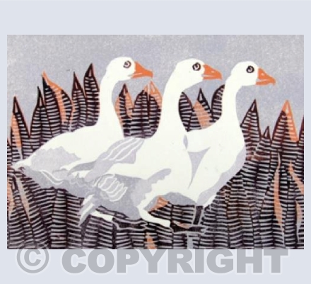 Three Geese