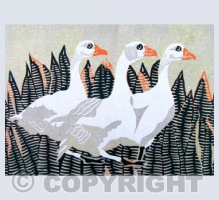 Three Geese