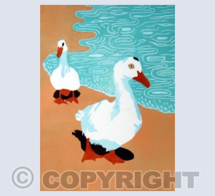 Confit du Canard OR Ducks in Greece