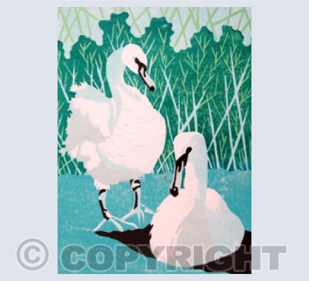 Swans