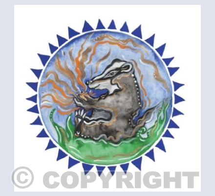Badger's Wonder