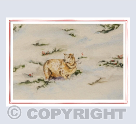 sheep Christmas Card