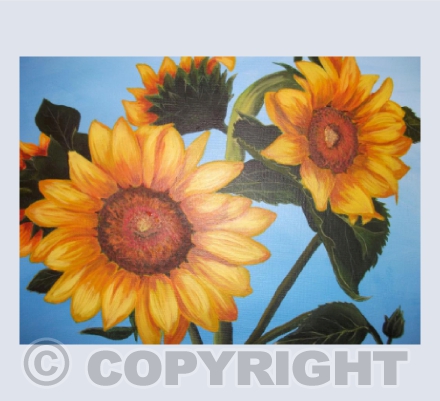 Sunflowers