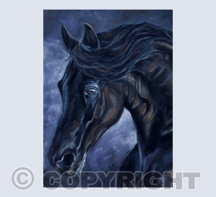 Black Atmospheric Horse Card