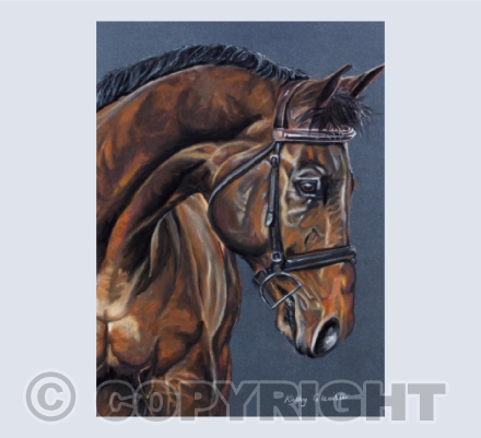 brown horse card