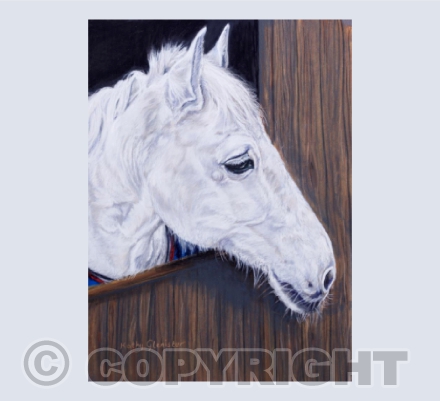 white horse card