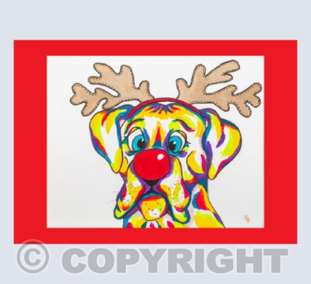 Rudolph The Boxer