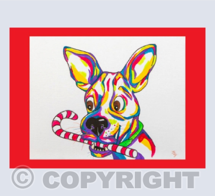 I Brought You  A Stick