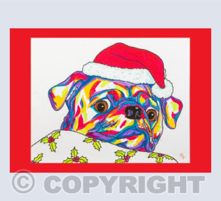 A Pug Surprise