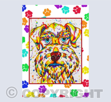 Appledown Not A Happy Chappie!