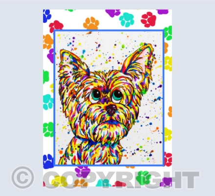 Appledown Dorkie Yorkie