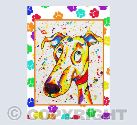 Appledown Anything But Grey