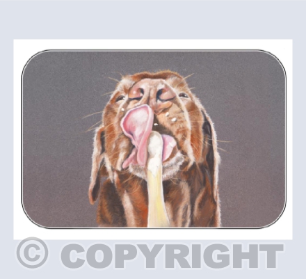 Lolly