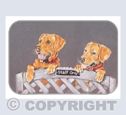 Archie & Hector