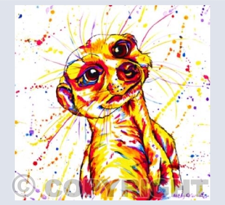 Meerkat