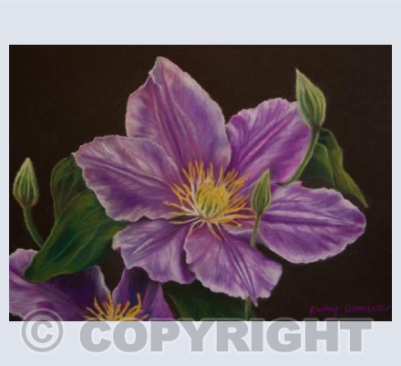 Clematis