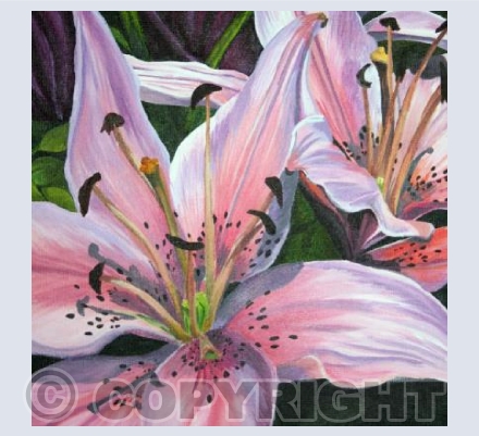 Lily