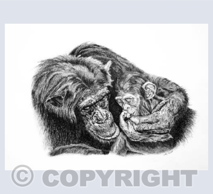 Precious Moments