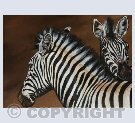 Zebras