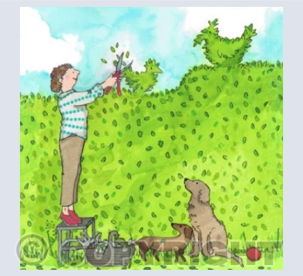 Hedge Clippings