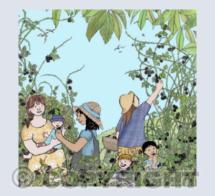 lets go blackberrying